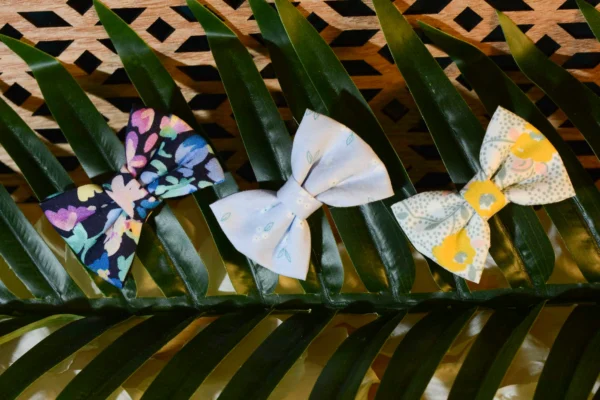 Barrette noeud papillon